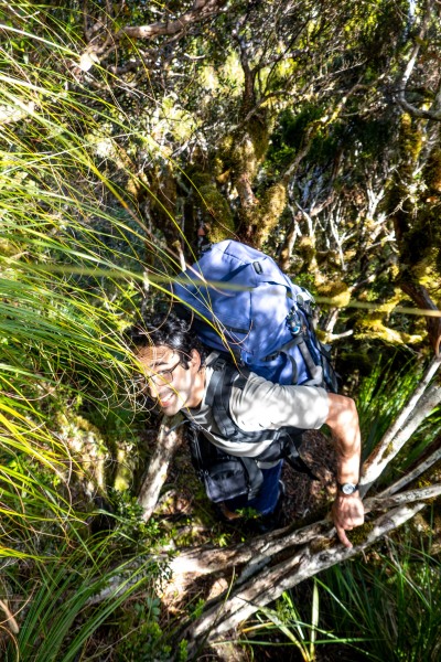 Jeremy going up (Tramping Mt Alexander Dec 2024)