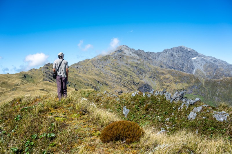 Jeremy looking wistfully towards Mt Alexander (Tramping Mt Alexander Dec 2024)