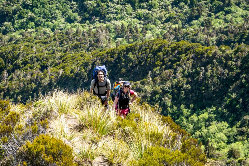 On a knob (Tramping Mt Alexander Dec 2024)