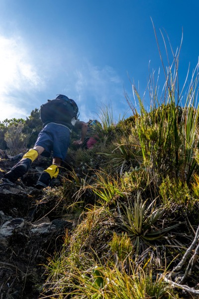 Steep track (Tramping Mt Alexander Dec 2024)