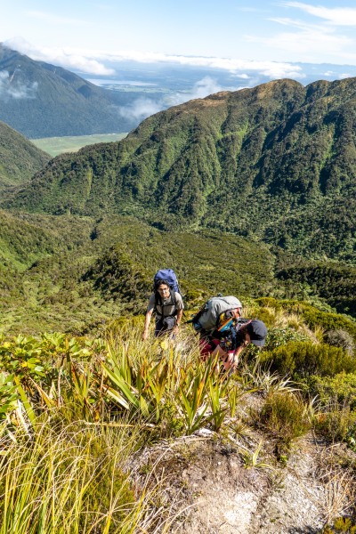 View out towards Lake Brunner (Tramping Mt Alexander Dec 2024)