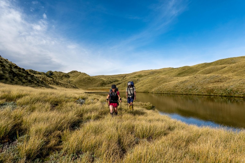 Walking out (Tramping Mt Alexander Dec 2024)