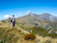 Jeremy looking wistfully towards Mt Alexander (Tramping Mt Alexander Dec 2024)