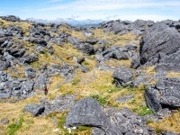 Katie in the boulder field (Tramping Mt Alexander Dec 2024)
