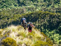 On a knob (Tramping Mt Alexander Dec 2024)