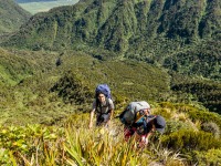 View out towards Lake Brunner (Tramping Mt Alexander Dec 2024)