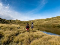 Walking out (Tramping Mt Alexander Dec 2024)