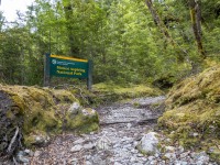 Entering the national park (Tramping Rees Rees Dec 2021)