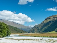 Riverflats (Tramping Rees Rees Dec 2021)