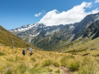 Walking back down Rees Valley (Tramping Rees Rees Dec 2021)