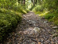 Walking out (Tramping Rees Rees Dec 2021)