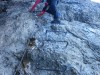 Leonie on a ladder (Brenta Dolomites)