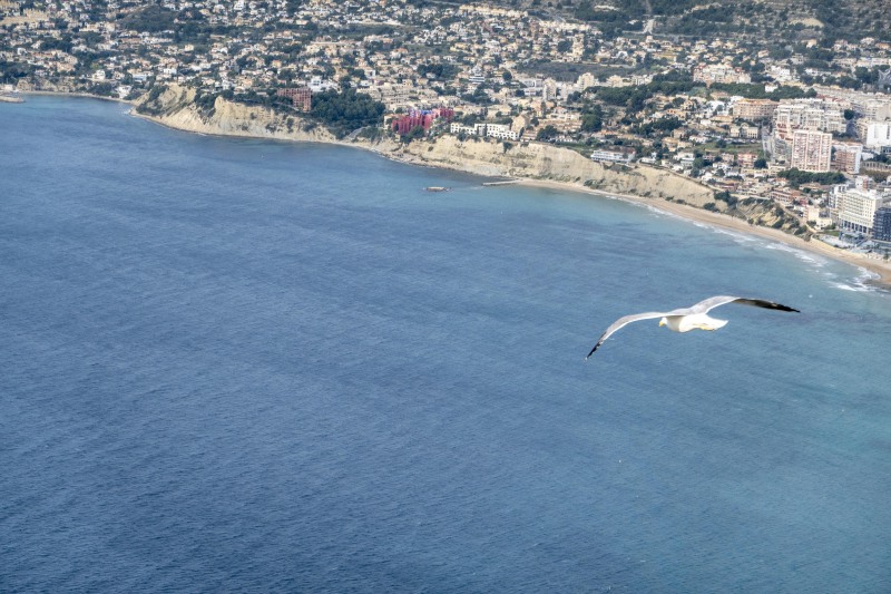 La Muralla Roja coastline view (Xmas Holidays Dec 2022)