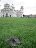 Signs of a kiwi in Italy (Pisa, Italy) resize