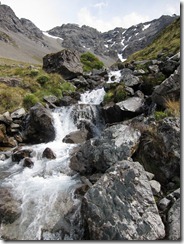 Stream (Tramping Sudden Valley)