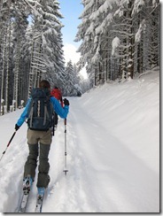 Trudging (Ski tour Hinterwaldkopf)