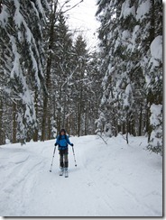 Leonie skinning (Ski tour Belchen)
