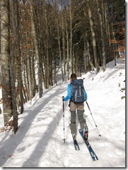 Leonie skinning up through the forest (Black Forest, Germany)