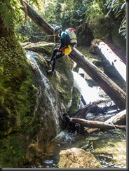 Craig lowering himself down (Canyoning Waterfall Creek)