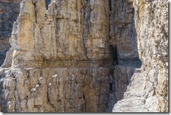 The via ferrata cut into the rock (Brenta Dolomites)