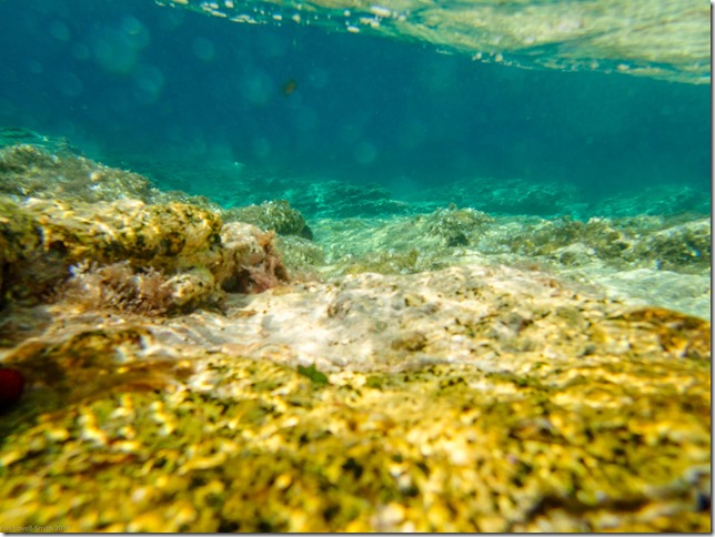 Under water (Seakayaking Croatia Sept 2019)