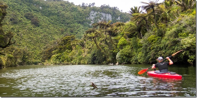 Going for a paddle up the river (Ari visits 2020)