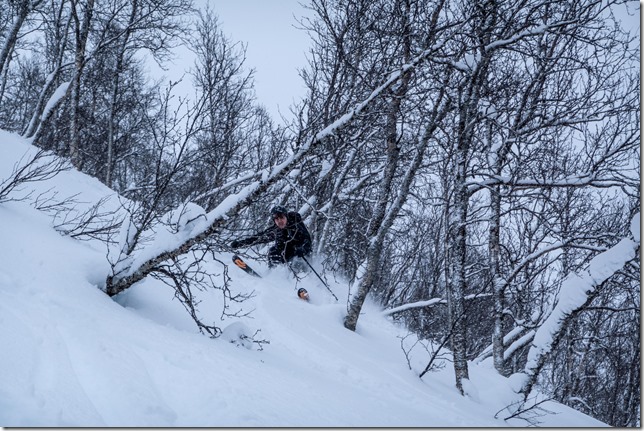 Johannes navigating trees (Ski touring Day 1 Laukslettfjellet, Lyngen 2023)