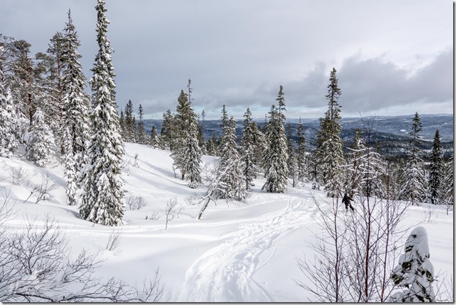 More skiing down (Ski touring Vassfjellet, March 2023)