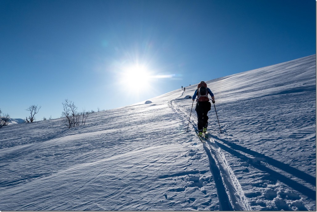 Kristian ascending (Day 6, Runfjellet, Ski Touring Lyngen 2023)