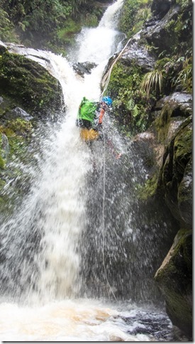 Craig does not avoid the flow (Carew Creek Dec 2024)