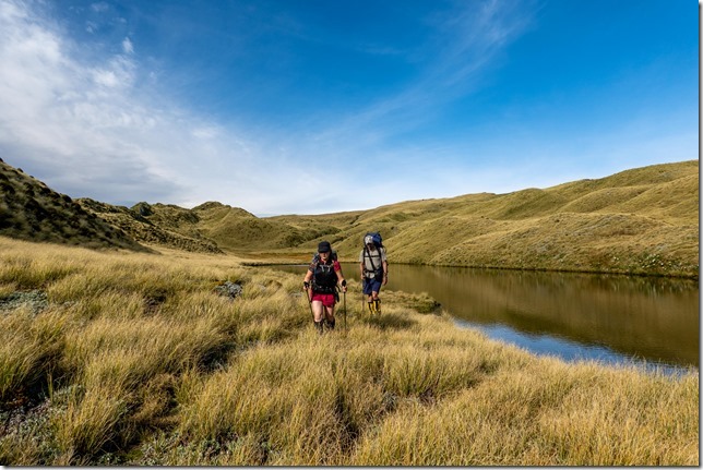 Walking out (Tramping Mt Alexander Dec 2024)